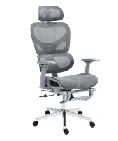 Ergo Office Chair
