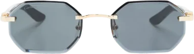 Cartier CT0439S