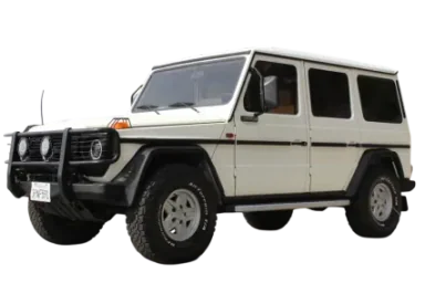 Mercedes-Benz G 300 1982