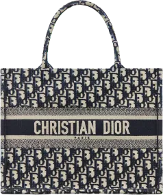 Dior Medium Book Tote Blue