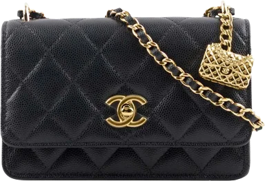 Chanel Mini Wallet On Chain with Bag Charm Black (AP3316-B10712-94305)
