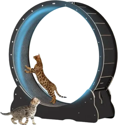 Large Cat Exercise Wheel 40 inch