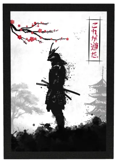 Samurai Warrior L Graphite Frame Displate