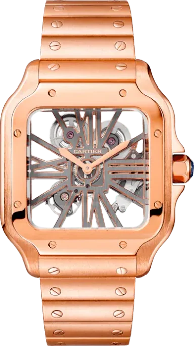 Cartier Santions de cartier