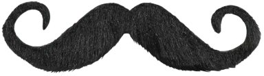 Fake Moustache