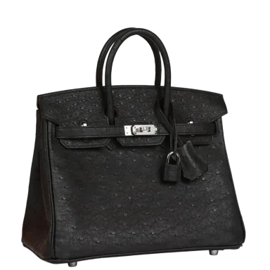 Hermès Birkin 25 Black Ostrich Palladium Hardware